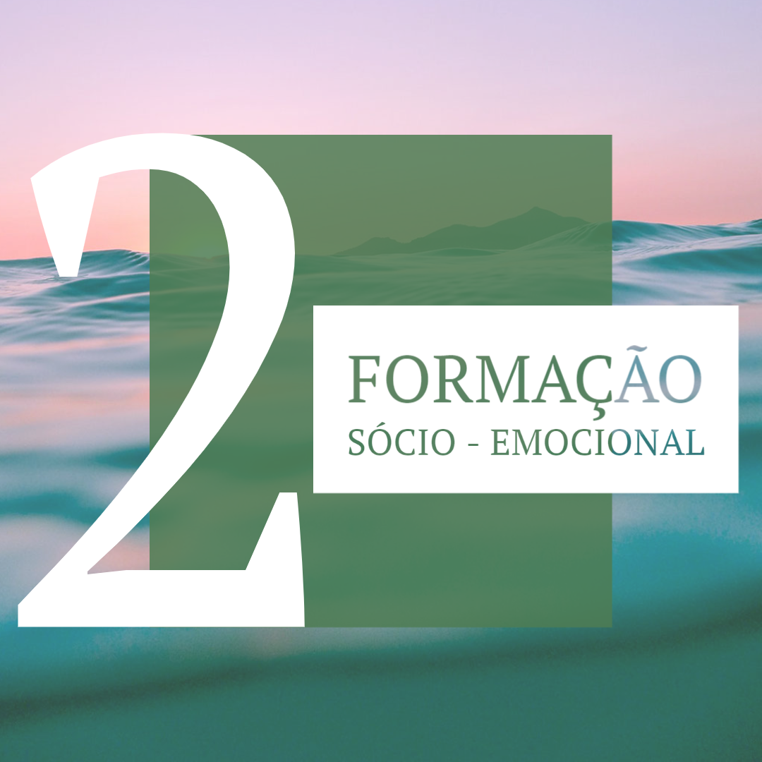 pilar 2 socio emocional-1